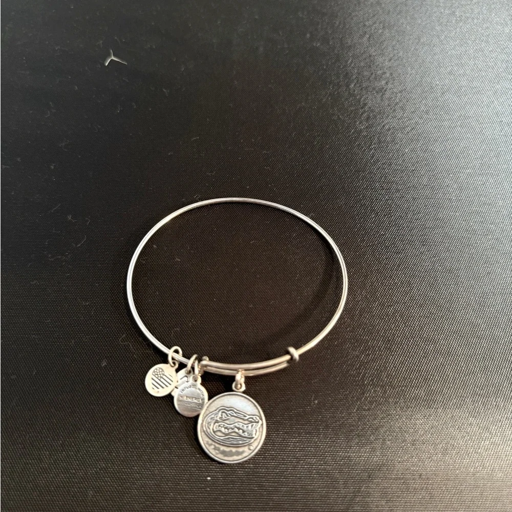 Alex & Ani Silver UFL Gator Charm Bangle Bracelet - Picture 2 of 2